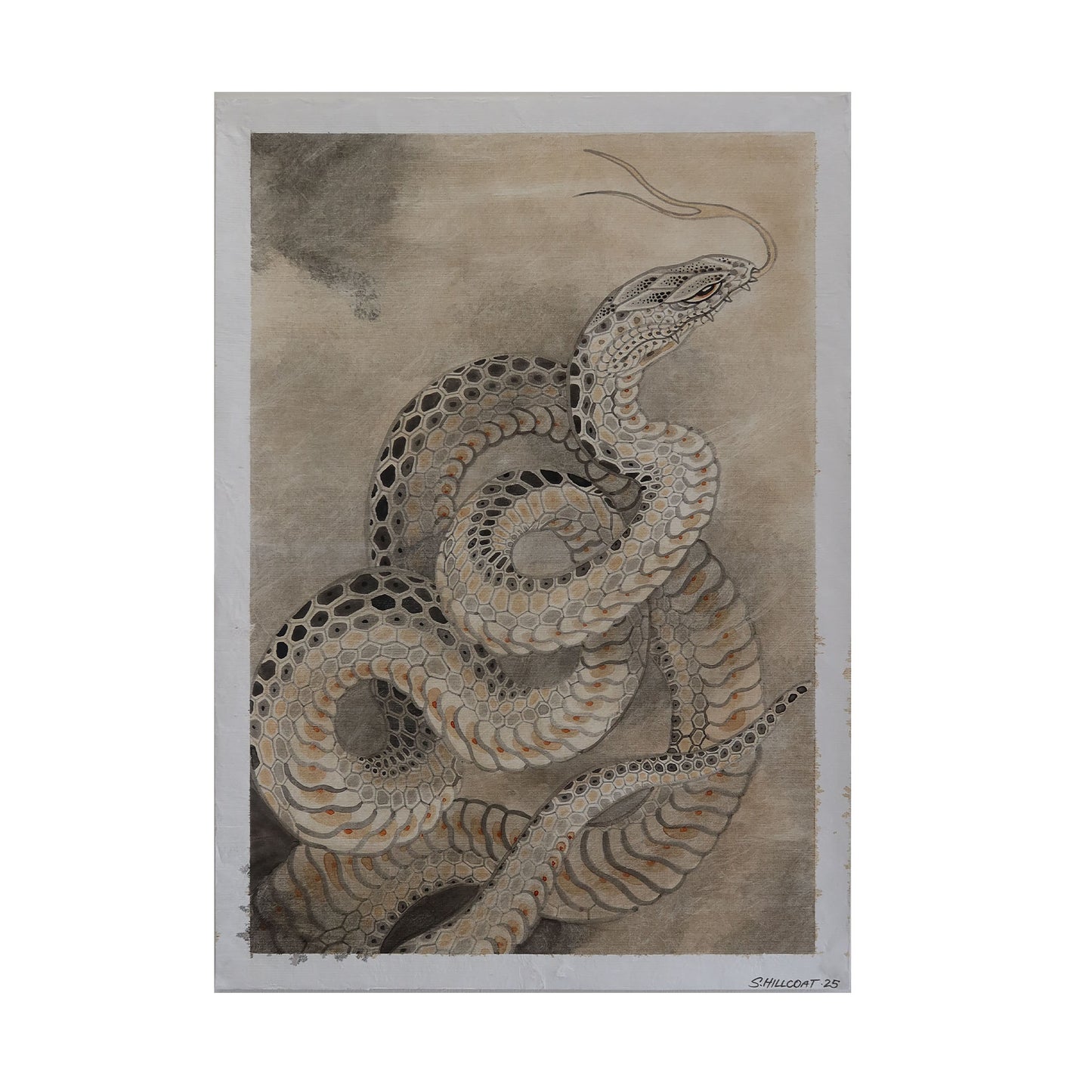 Hebi Scroll