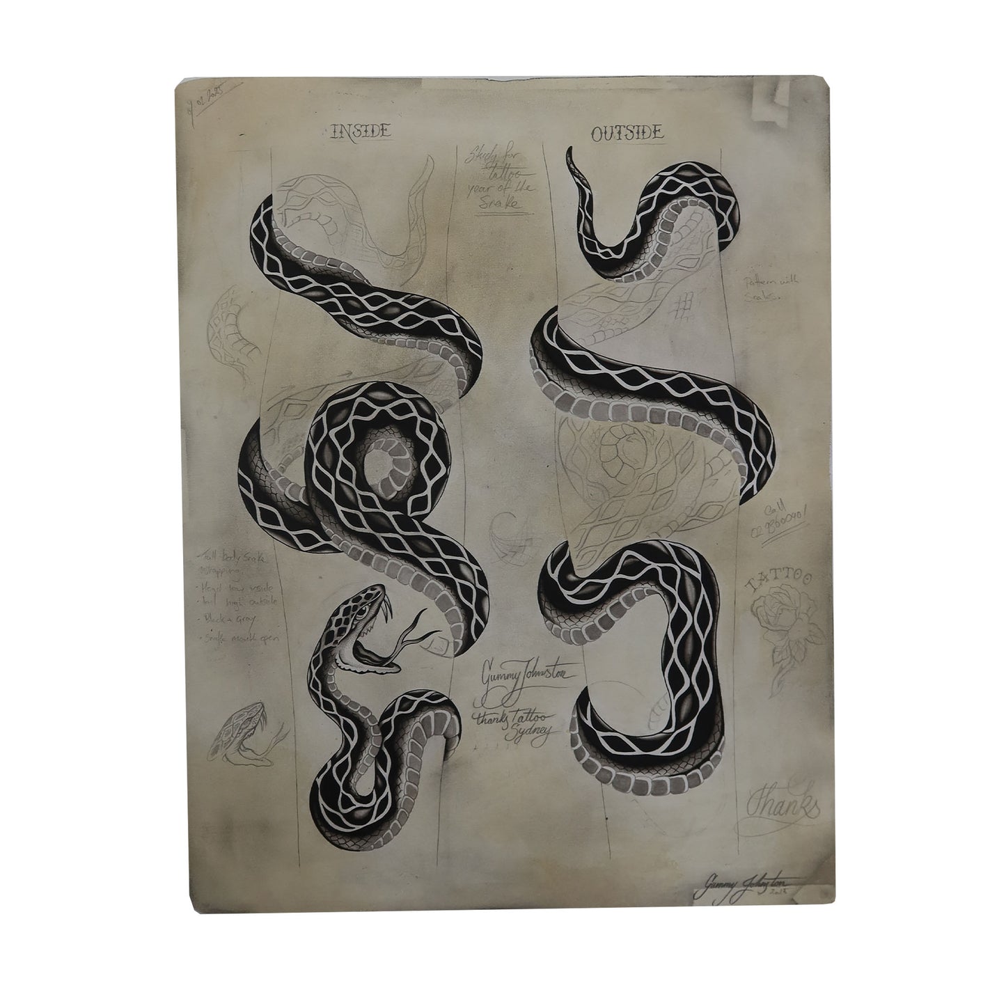 Snake Study