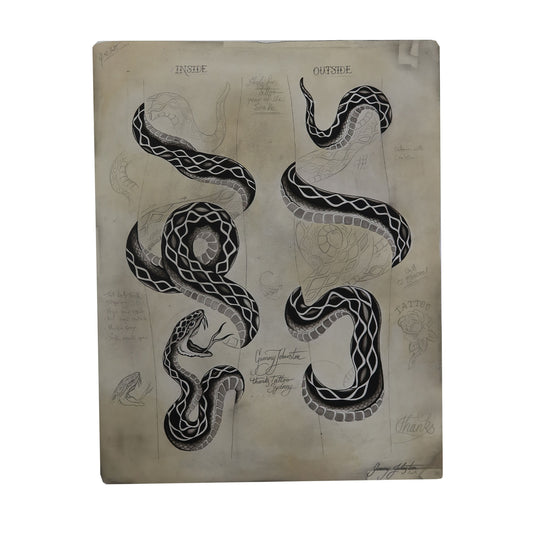 Snake Study