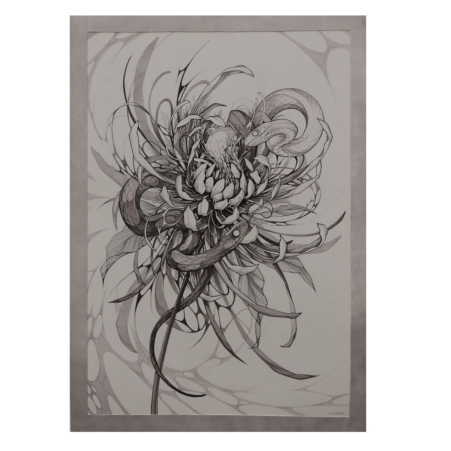 Chrysanthemum