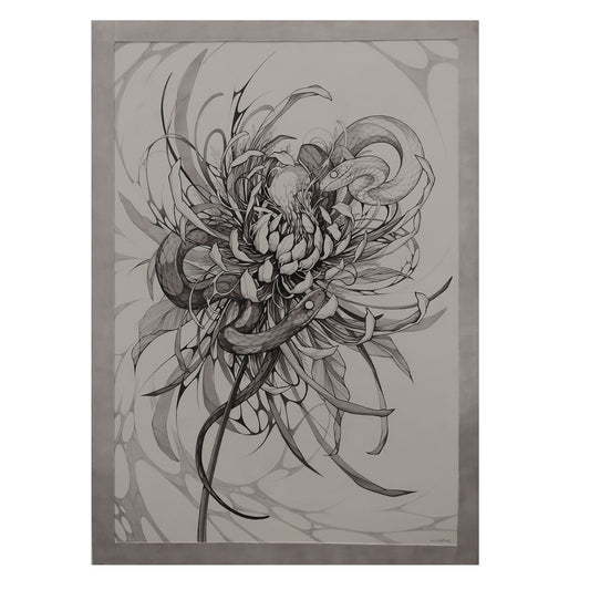 Chrysanthemum